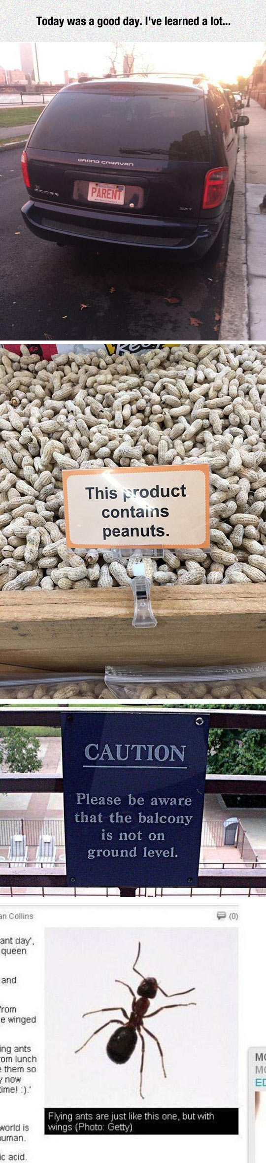 funny-car-name-sing-peanut